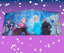 FROZEN PARTY