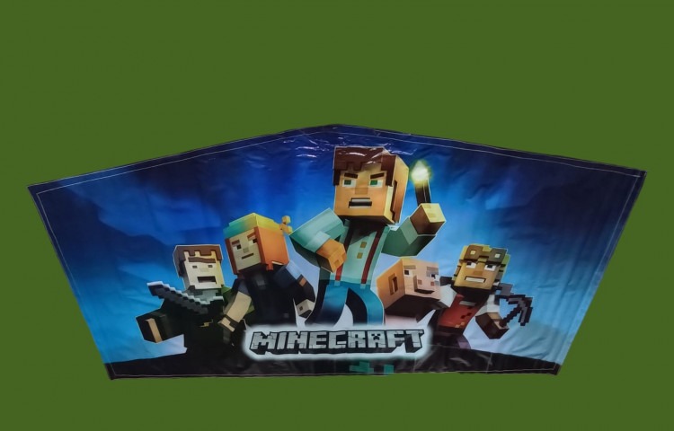 MINECRAFT PARTY